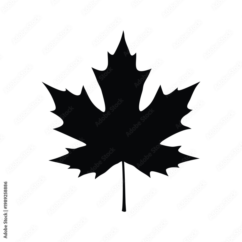 Fototapeta premium Black and white maple leaf detailed edges, perfect silhouette vector illustration, maple leaf silhouette vector illustration