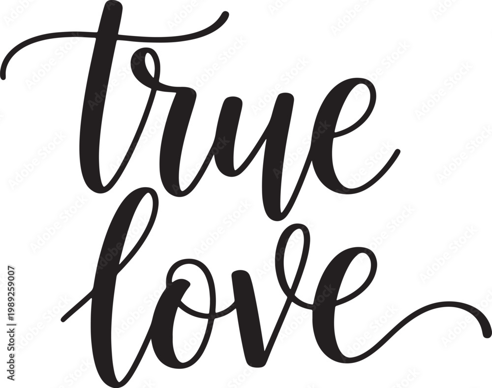 Fototapeta premium True love, romantic calligraphy, black text, vector phrase, typography design, love words