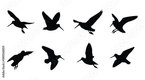 Set of 8 Snipe Silhouettes in Various Flying and Diving Poses Isolated on White Background