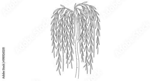 Weeping willow tree outline