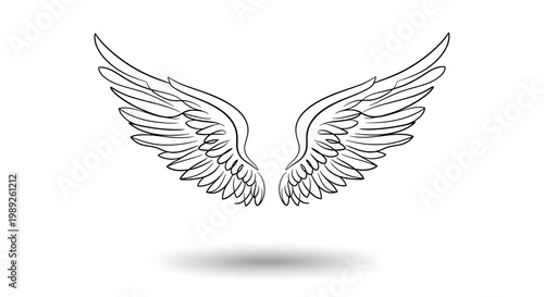 Wing outline illustration
