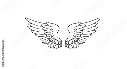 Wing outline on white