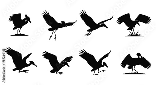 Great Blue Heron Silhouette Set — Landing Walking and Standing Heron Black Silhouettes Vector Collection Isolated