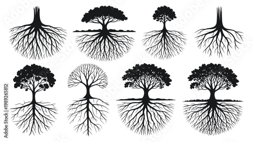 A diverse collection of black silhouette trees featuring prominent and intricate root systems below ground level.