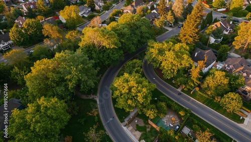 Aerial View of Curved Road Surrounded by Lush Green Trees