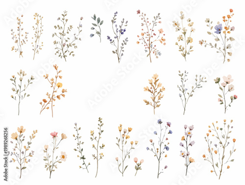 Pastel botanical branches set for modern wedding stationery designs