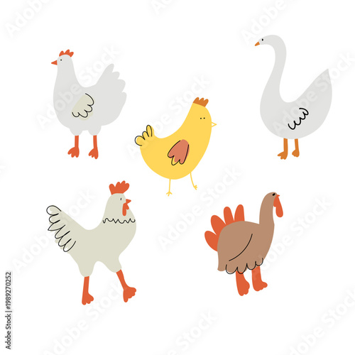 Group of farm birds including chickens and geese. Simple animal set for educational and agricultural design.