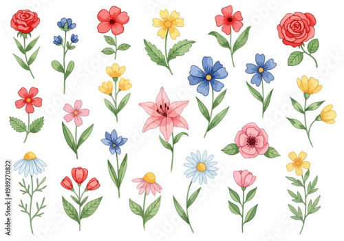 Soft pastel blossoms arranged in an organized display emphasizing harmony balance and natural artistic beauty.