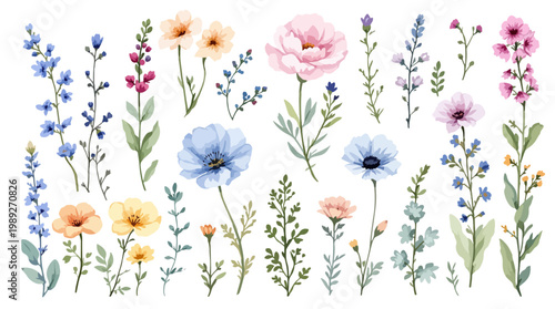 Nature themed floral illustrations offering a calming aesthetic through gentle tones and refined details.