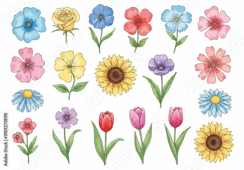 Artistic flower collection blending simplicity and elegance with soft colors and beautifully drawn natural forms.