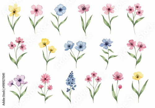 Soft botanical artwork displaying various flower types with gentle lines and beautifully balanced compositions.