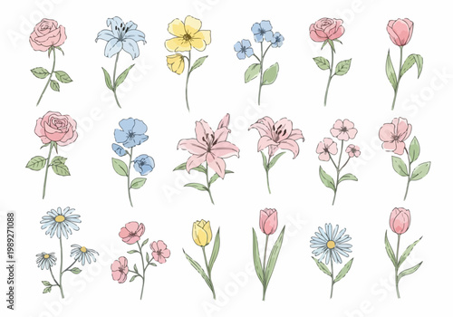 Delicate garden blooms presented with artistic flair highlighting natural beauty and soft color variations.