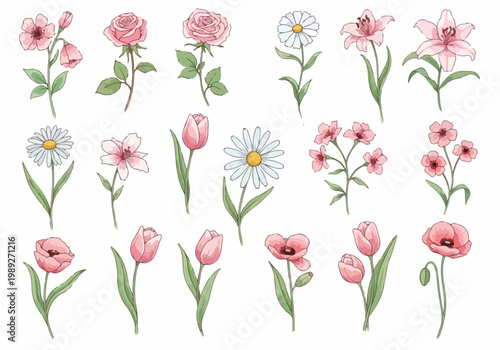 Botanical illustration set showcasing diverse flowers with graceful stems and petals in gentle harmonious tones.