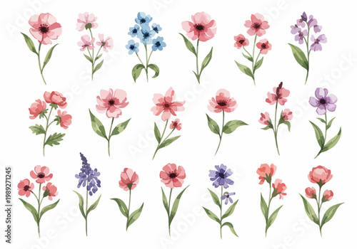 Soft colored garden flowers presented in a clean layout emphasizing elegance simplicity and natural charm.