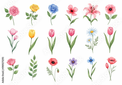 Hand illustrated blossoms in various shapes and colors forming a cohesive and visually appealing floral arrangement.