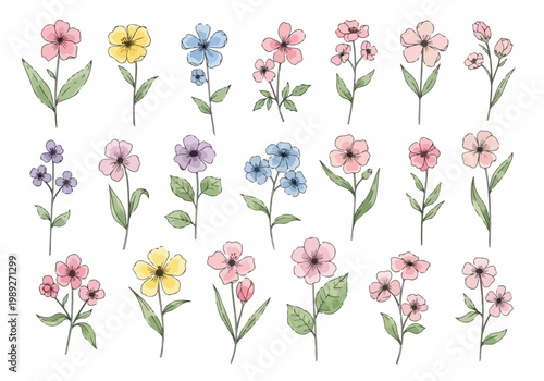 Vibrant yet soft flower collection designed to evoke peaceful feelings and appreciation for natural botanical beauty.