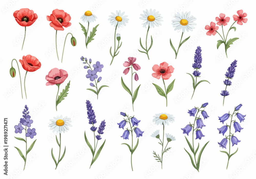 Fototapeta premium Charming handdrawn flowers arranged neatly showcasing vibrant petals and gentle stems in artistic composition style.
