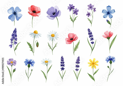 Elegant floral designs highlighting soft hues and intricate details perfect for decorative and creative visual projects.