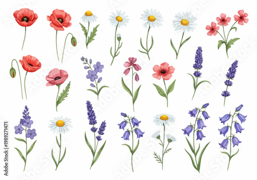 Charming handdrawn flowers arranged neatly showcasing vibrant petals and gentle stems in artistic composition style.