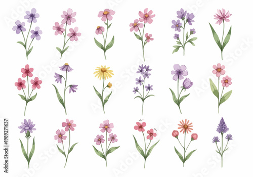 A dreamy botanical composition of pastel flowers painted with watercolor finesse