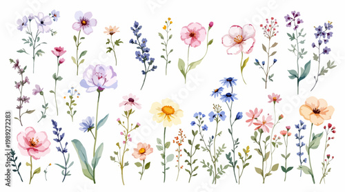 Gentle spring blossoms illustrated in airy watercolor textures and soothing pastel shades