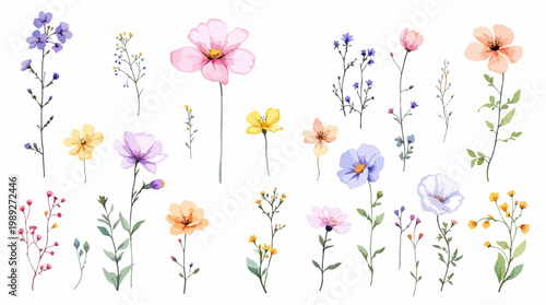 Delicate watercolor blossoms dancing softly across a pastel garden of dreamy floral elegance
