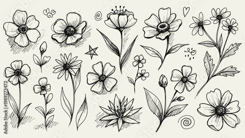 Minimal Lily Flower Sketch Floral Outline Design