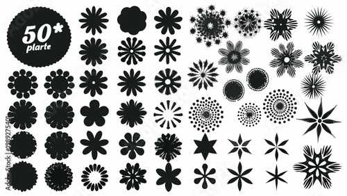 Collection of fifty black floral designs and a number graphic