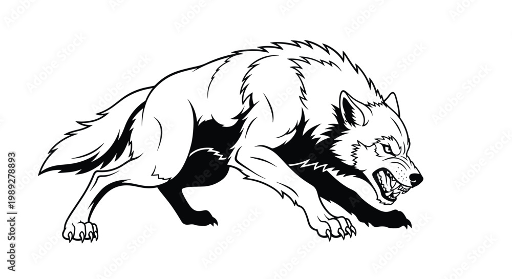 Fototapeta premium Aggressive wolf character shown in a high contrast black and white illustration snarling with its sharp teeth bared.