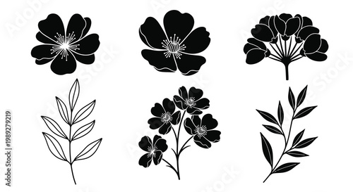 A detailed illustration showcases the human digestive system s major organs in a stark black style silhouette high quality professional modern elegant stylish clean