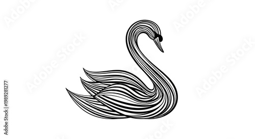 A black and white swan illustration.