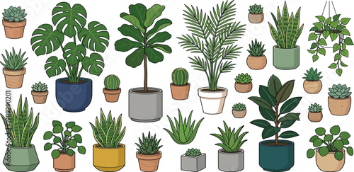 Large collection of indoor house plants and succulents in ceramic pots including monstera fiddle leaf fig snake plant and cacti vector illustration.