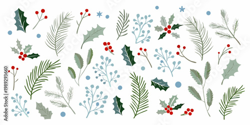 Festive botanical illustrations of winter foliage and berries on white