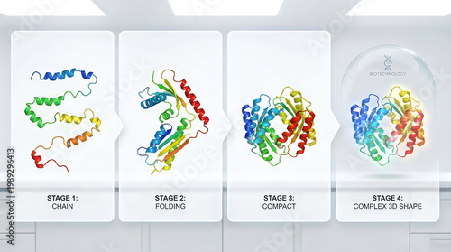 Protein structure stages, molecular biology illustrations, 4 stages, complex to simple, colorful scientific diagrams