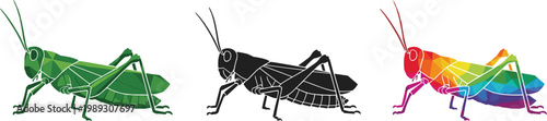 Set of Colorful Grasshopper Illustrations in Green, Black, and Rainbow Styles for Nature, Insect, and Wildlife-Themed Designs