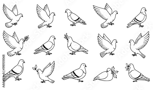 Christmas dove and pigeon silhouette vector set with olive branch peace birds flying and resting black and white line art collection
