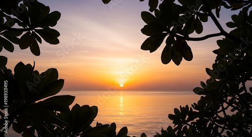 Sunset over ocean, serene tropical landscape, warm evening sky, silhouetted foliage