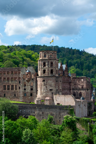 Historic castle in Heidelberg surrounded by greenery