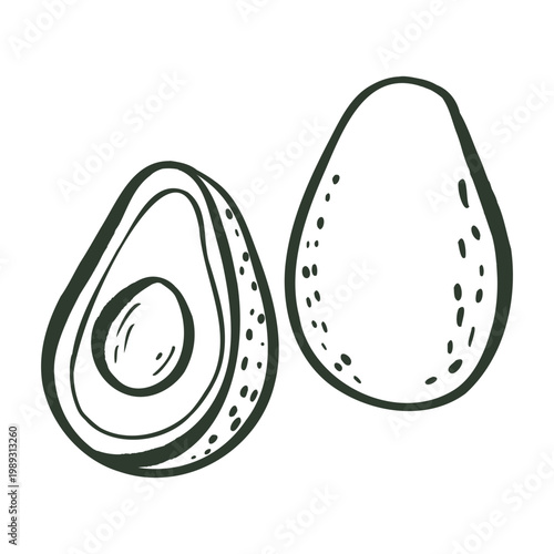 Hand drawn avocado doodle icon in outline style. Healthy food element isolated on white for diet and vegan design.