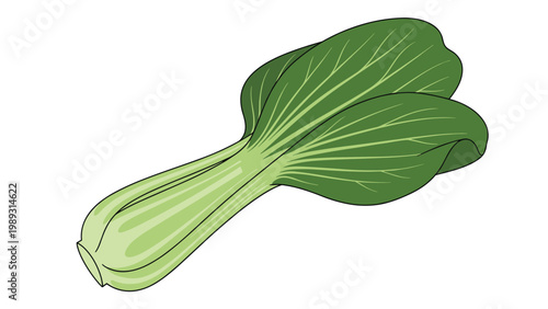 Fresh green bok choy illustration featuring large crisp leaves and light green stalks for healthy cooking and culinary themes.