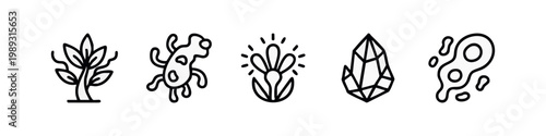 Line art icons of biology and science: plant, amoeba, flower, crystal, cells