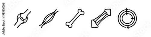 Line art medical and biology icons: joint, muscle, bone, ligament, circulation