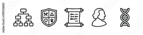 Photography Science and history icons: hierarchy, shield, scroll, profile, dna (outline)