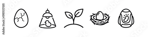 Outline icons illustrating the life cycle of a chick