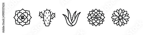 Outline icons of succulents and cactus