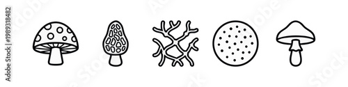 Mushroom Icons: Outline Style - Amanita, Morel, Mycelium, Spores, Simple Mushroom