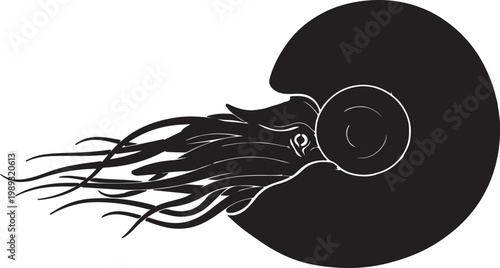 Simple black and white illustration of a single scallop seashell outline