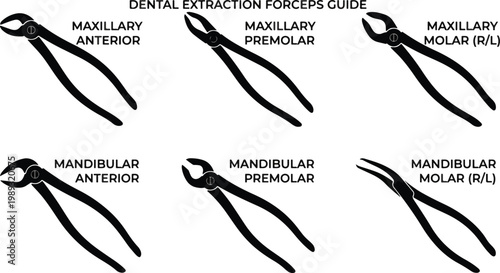 Dental Extraction Forceps SVG Bundle - Dentist Office Wall Art - Mandibular and Maxillary Forceps Silhouette - Medical Vector Clipart for Cricut - Dental Student Study Guide - Dental Assistant Graduat