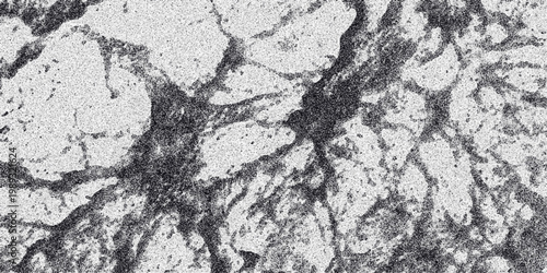 Close-up macro texture of a dark, organic, and irregular pattern resembling cracked earth or a cellular structure with a grainy monochrome effect