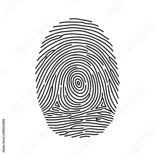 Minimal monochrome fingerprint illustration showing loop and ridge patterns in biometric design.